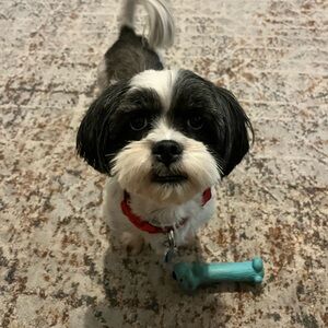 Women’s & Teens’ Closet